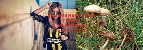 индика Каменск-Шахтинский
