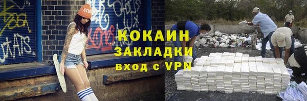 стафф Арсеньев