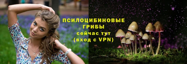 стафф Арсеньев