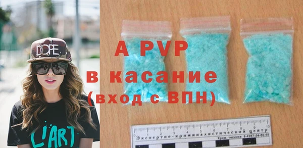 стафф Арсеньев